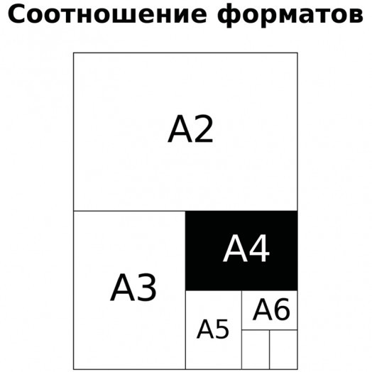 Тетрадь 96л., А4, клетка BG "Creativity", матовая ламинация