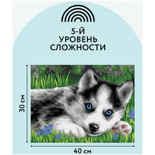 Картина по номерам на картоне ТРИ СОВЫ "Голубоглазый пушистик", 30*40, с акриловыми красками и кистя