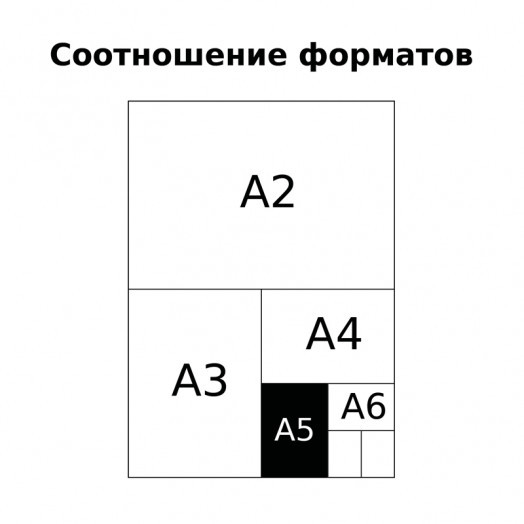 Тетрадь 96л., А5, клетка на гребне BG "Спорт - это жизнь", матовая ламинация