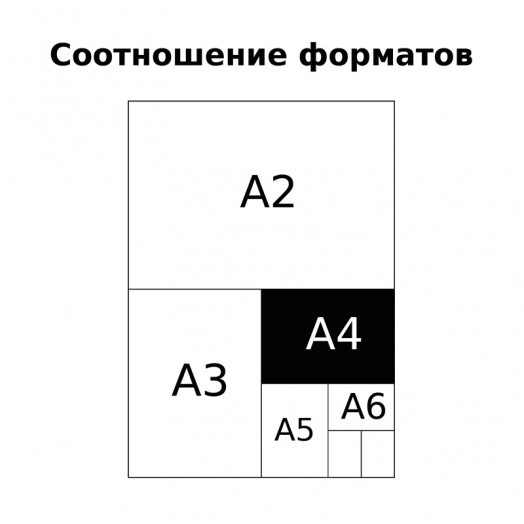 Тетрадь 48л., А4, клетка BG "Fluffy", матовая ламинация