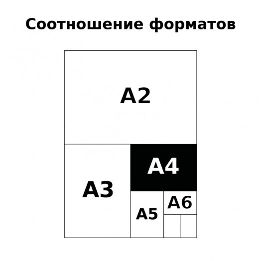 Альбом для рисования 40л., А4, на гребне BG "Видеть прекрасное"